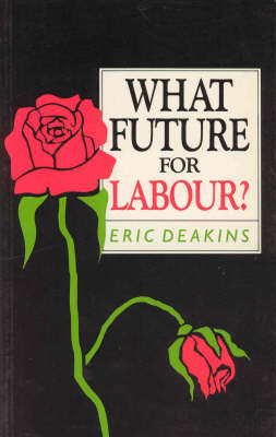 Book cover for What Future for Labour?