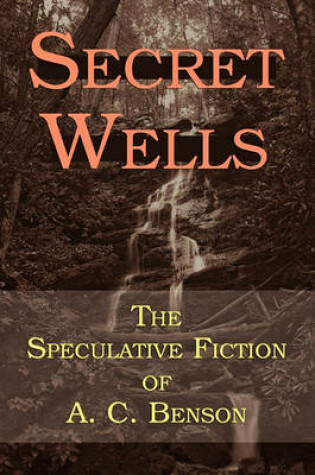 Cover of Secret Wells