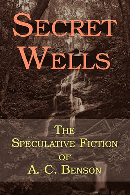 Book cover for Secret Wells