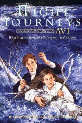 Cover of Night Journeys