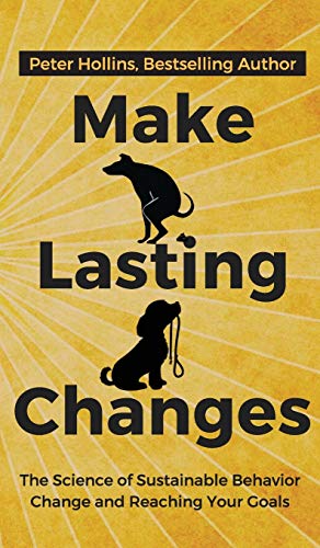 Book cover for Make Lasting Changes