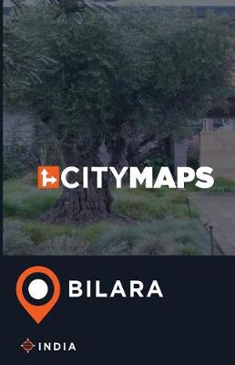 Book cover for City Maps Bilara India