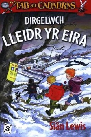 Cover of Cyfres Tab a'r Cadabras: 3. Dirgelwch Lleidr yr Eira