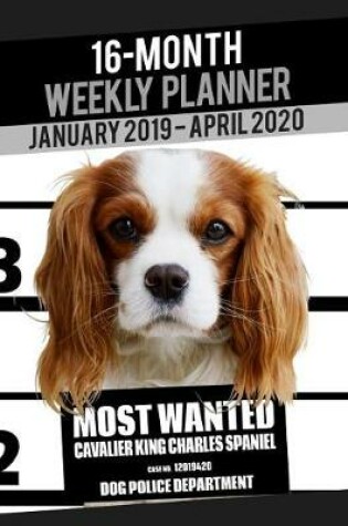 Cover of 2019-2020 Weekly Planner - Most Wanted Cavalier King Charles Spaniel