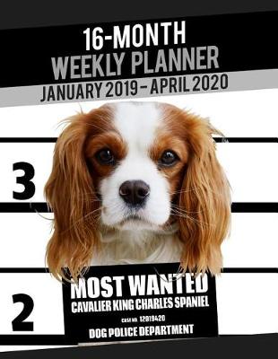 Cover of 2019-2020 Weekly Planner - Most Wanted Cavalier King Charles Spaniel