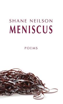 Book cover for Meniscus