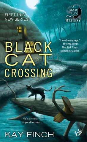 Book cover for Black Cat Crossing