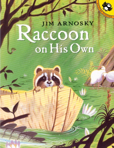 Book cover for Raccoon On His Own