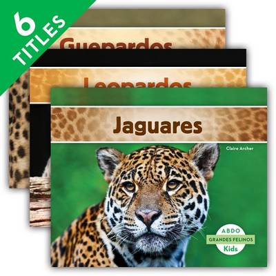 Book cover for Grandes Felinos (Big Cats) (Spanish Version) (Set)