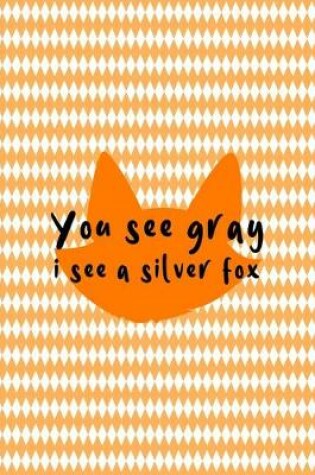 Cover of You See Gray I See A Silver Fox