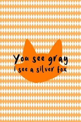 Book cover for You See Gray I See A Silver Fox