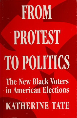 Book cover for From Protest to Politics