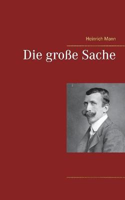 Book cover for Die große Sache
