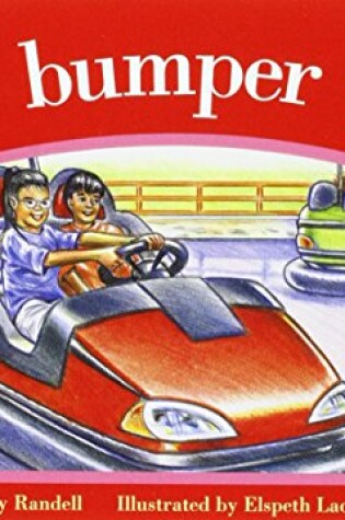 Cover of The bumper cars