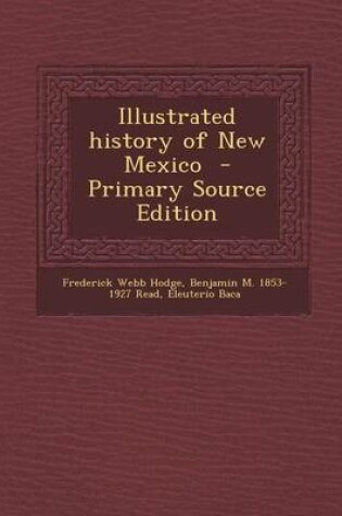 Cover of Illustrated History of New Mexico - Primary Source Edition