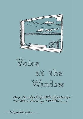 Book cover for Voice at the Window