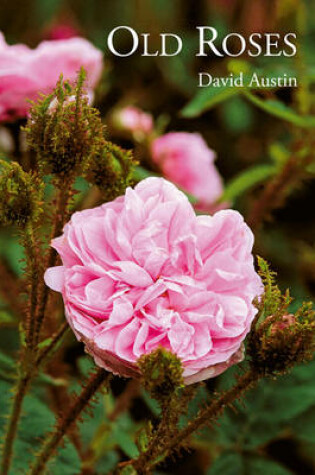 Cover of Old Roses