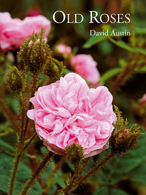 Book cover for Old Roses