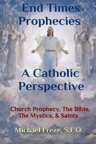Cover of End Times Prophecies A Catholic Perspective