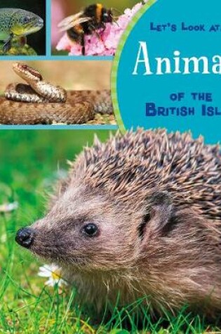 Cover of Animals of the British Isles