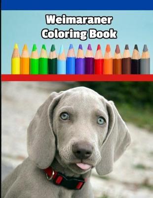 Book cover for Weimaraner Coloring Book