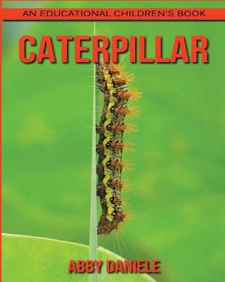 Book cover for Caterpillar! An Educational Children's Book about Caterpillar with Fun Facts & Photos
