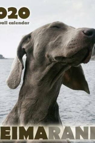 Cover of Weimaraner 2020 Mini Wall Calendar