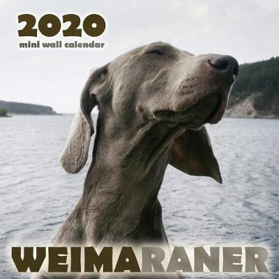 Book cover for Weimaraner 2020 Mini Wall Calendar