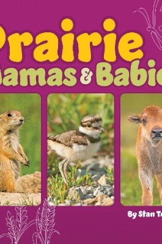 Cover of Prairie Mamas and Babies