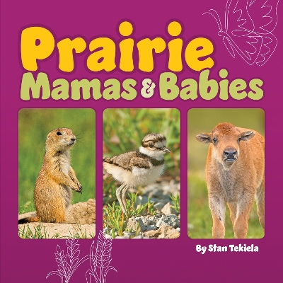 Book cover for Prairie Mamas and Babies