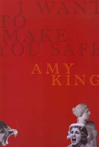 Book cover for I Want to Make You Safe