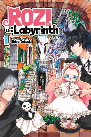 Cover of Rozi in the Labyrinth Vol. 1