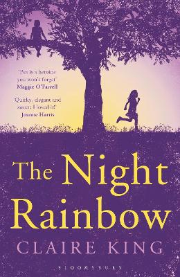 Book cover for The Night Rainbow