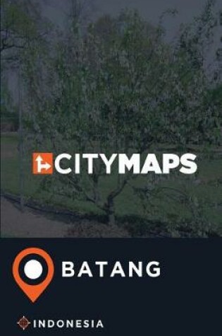 Cover of City Maps Batang Indonesia