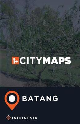 Book cover for City Maps Batang Indonesia