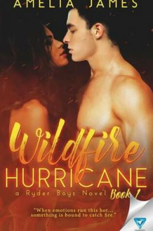 Cover of Wildfire Hurricane