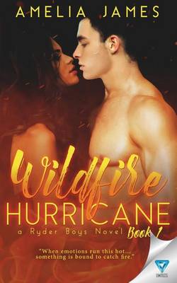Book cover for Wildfire Hurricane