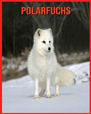 Book cover for Polarfuchs