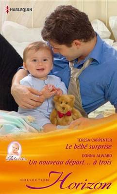 Book cover for Le Bebe Surprise - Un Nouveau Depart...a Trois