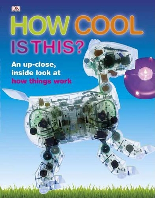 Cover of How Cool Is This?