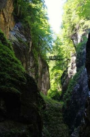 Cover of Partnachklamm River Bridge in Germany Journal