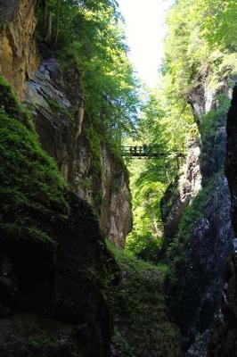 Book cover for Partnachklamm River Bridge in Germany Journal