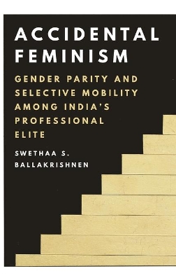 Book cover for Accidental Feminism