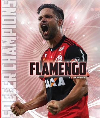 Book cover for Flamengo