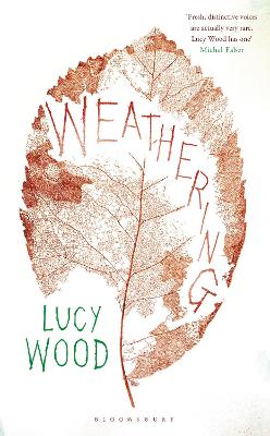 Book cover for Weathering