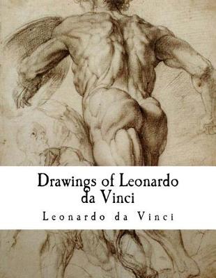 Book cover for Drawings of Leonardo Da Vinci