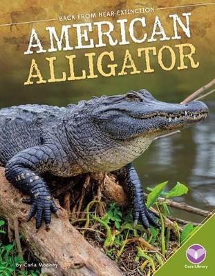 Book cover for American Alligator