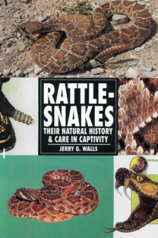 Cover of Rattle Snakes