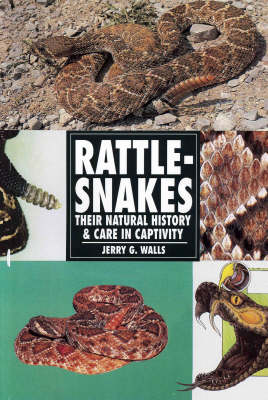 Book cover for Rattle Snakes