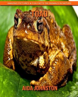 Book cover for Toad